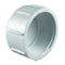 Charlotte Pipe And Foundry Charlotte Pipe Schedule 40 1/2 in. FPT X 1/2 in. D FPT PVC Cap 1 pk PVC 02117 0800 - alternate 1